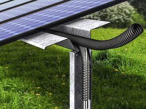 So schützen Sie Photovoltaik-Anlagen gegen Tierfraß
