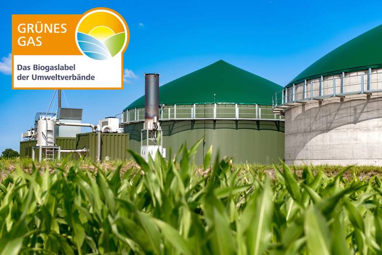 Grunes Gas Label Erneuert Kriterien Fokus Liegt Auf Reststoffen Haustec