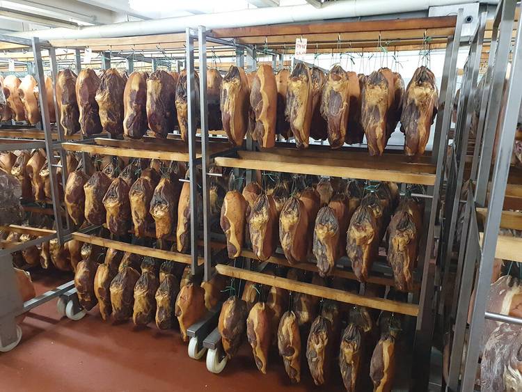 Alt-Text: „Heizungssysteme und Regeltechnik in einem modernen Heizungsraum mit installierten Wärmepumpen und Rohrleitungen.