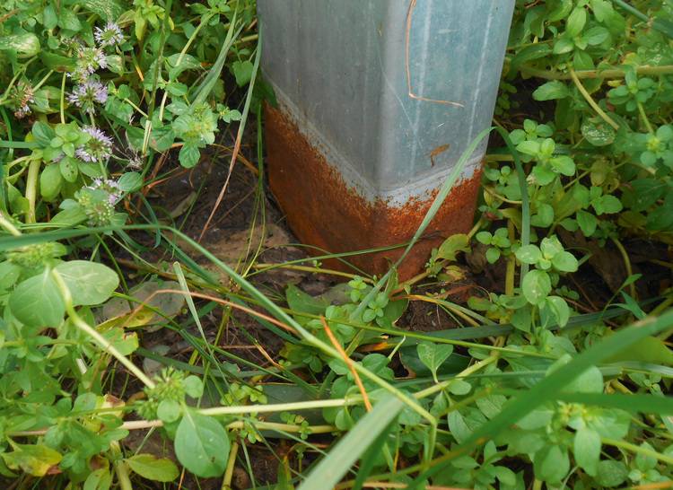 Alt-Text: „Rostige Metallstütze im Freien, umgeben von grüner Vegetation; symbolisiert den Bedarf an nachhaltiger Gebäudetechnik und langlebigen Materialien in der Bauwirtschaft.“.