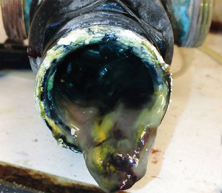 Detailansicht einer stark korrodierten Rohrverbindung mit austretendem Material, das auf Wartungsbedarf und mögliche Risiken für die Gebäudetechnik hinweist.