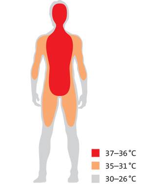 Natürlich! Hier ist ein optimierter, themenrelevanter ALT-Text für das beschriebene Bild, zugeschnitten auf die Zielgruppe von haustec.de: „Schematische Darstellung des menschlichen Körpers mit farblich gekennzeichneten Temperaturzonen zur Veranschaulichung von Energieverlust und Komfortbereichen für Planungen in Heizungstechnik und Gebäudeklimatisierung.“ Gerne passe ich den Text noch spezifischer an konkrete Artikelkontexte oder Schwerpunkte an. Sag einfach Bescheid!.