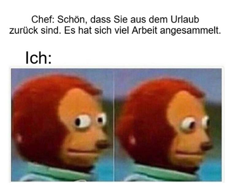 Gerne! Ein präziser, themenrelevanter und barrierefreier ALT-Text für die beschriebene Zielgruppe und das Themenspektrum von haustec.de könnte lauten: Alt-Text: "Lustiges Meme: Affen-Handpuppe blickt überrascht, während im Bildtext darauf hingewiesen wird, dass sich während des Urlaubs zahlreiche Aufgaben in der Gebäudetechnik angesammelt haben." (Begründung: Der Alt-Text beschreibt prägnant den Bildinhalt und die Stimmung. Durch den Hinweis auf angestaute Aufgaben im Bereich Gebäudetechnik wird der Bezug zur Portal-Zielgruppe hergestellt; so bleibt die Branchenrelevanz gewahrt.).