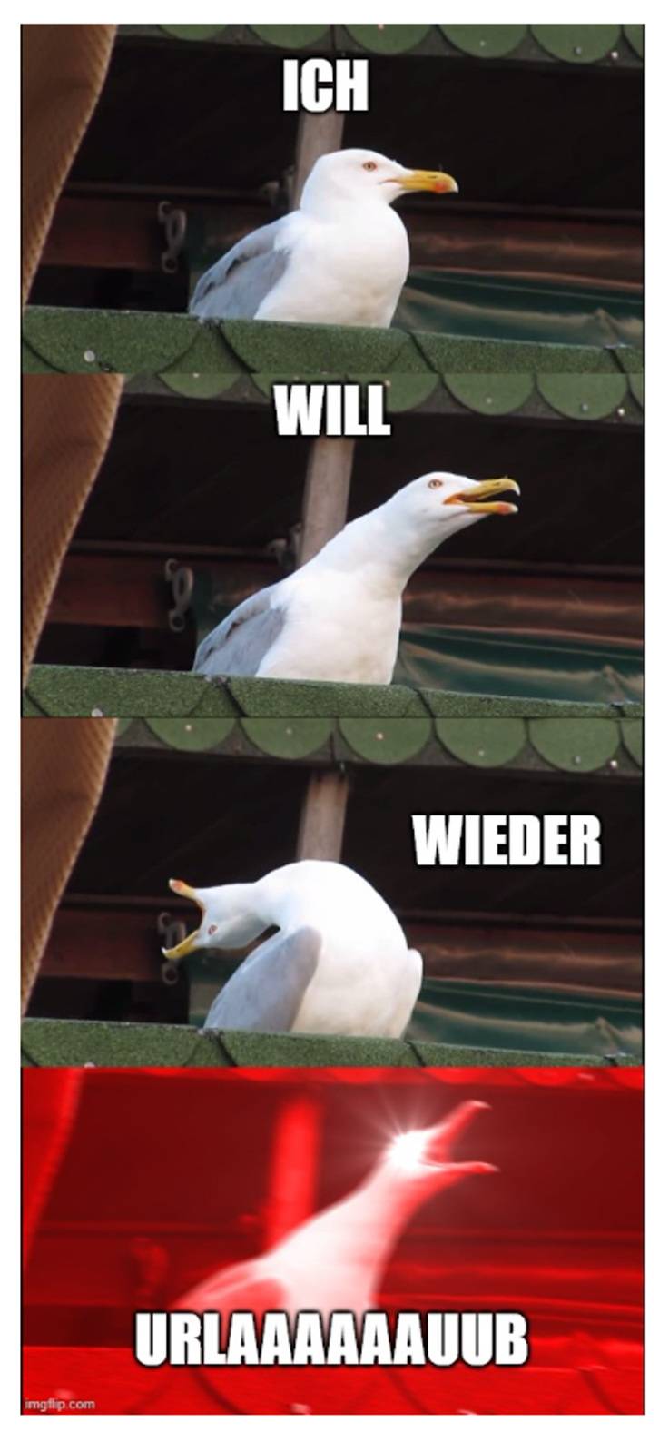 Gerne! Hier ist ein optimierter, themenrelevanter ALT-Text für das genannte Bild - maßgeschneidert für die Zielgruppe von haustec.de: ALT-Text-Vorschlag: "Karikatur einer Möwe mit Sprechblase 'Ich will wieder URLEAAAUB' - humorvolle Metapher für Fachkräfte in der Gebäudetechnik, die nach intensiven Projektphasen Erholung benötigen." Hinweis: Damit ist der Bezug zur Branche und zum Arbeitsalltag der Zielgruppe hergestellt und gleichzeitig verdeutlicht, dass es sich um eine humorvolle Darstellung handelt.