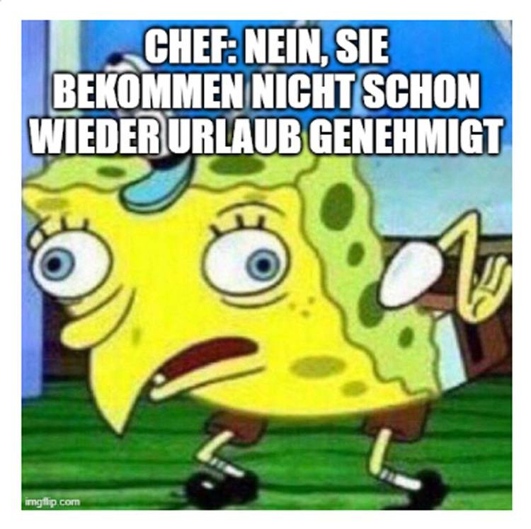 Optimierter ALT-Text für haustec.de (zielgruppen- und themenbezogen): Mitarbeiter im Büro der Gebäudetechnikbranche diskutiert scherzhaft mit dem Vorgesetzten über Urlaubsanträge, dargestellt in einer humorvollen Meme-Grafik zur Auflockerung brancheninterner Kommunikation.