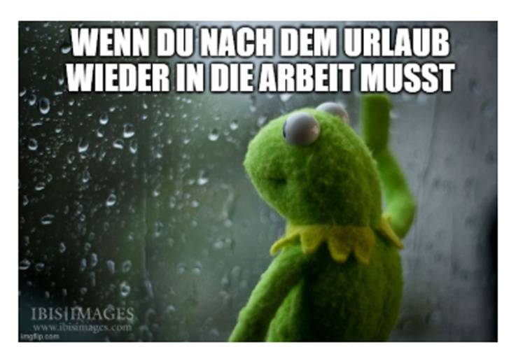 Gerne! Hier ist ein optimierter, themenrelevanter und barrierefreier ALT-Text für das Portal haustec.de (anstelle des bisherigen Kermit-Bildes): Alt-Text-Vorschlag: Ein SHK-Fachhandwerker blickt nachdenklich aus einem Bürofenster mit Regentropfen, im Hintergrund sind technische Zeichnungen einer modernen Heizungsanlage zu sehen; sinnbildlich für den Wiedereinstieg in anspruchsvolle Projekte nach dem Urlaub. Hinweis: Damit wird die Stimmung des Originals aufgenommen ("nach dem Urlaub zurück an die Arbeit"), aber passend zur Gebäudetechnik-Branche visualisiert. Ein präziser, beschreibender Alt-Text hilft dabei allen Nutzern - insbesondere Menschen mit Sehbehinderung -, den Bildinhalt und Bezug zur Fachthematik zu erschließen.