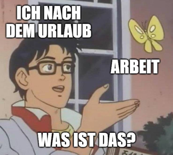 Optimierter ALT-Text: Cartoon eines Technikers in Arbeitskleidung, der verwundert auf einen Schmetterling mit dem Schild "Arbeit" zeigt; daneben die Frage auf Deutsch: "Ist das die Arbeit nach dem Urlaub?" - Visualisierung des Wiedereinstiegs in den Berufsalltag für Fachkräfte in der Gebäudetechnik.