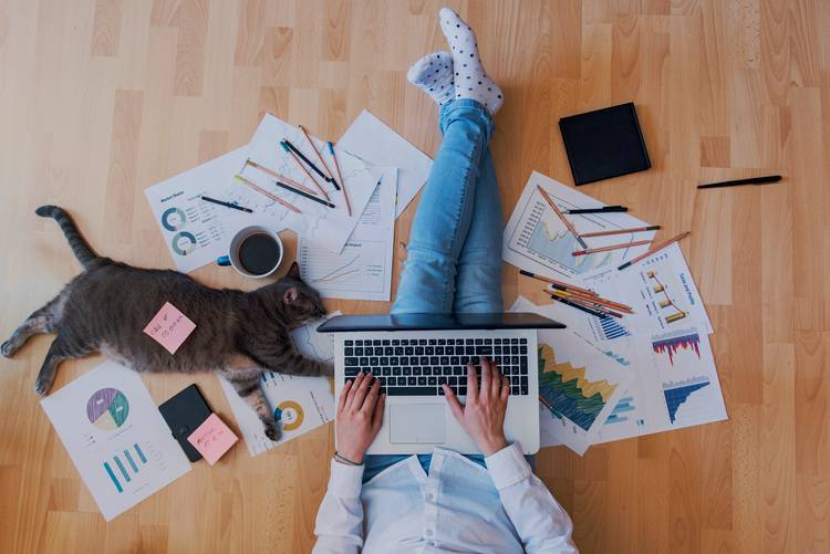 Fachkraft analysiert energietechnische Unterlagen am Laptop, umgeben von Plänen und Diagrammen zur Gebäudeautomation in moderner Arbeitsumgebung.