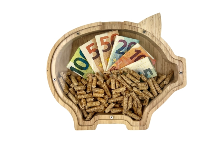 Holz-Sparschwein gefüllt mit Euro-Scheinen und Holzpellets, als Symbol für Kostensparnis durch effiziente Pelletheizungen in Gebäuden.