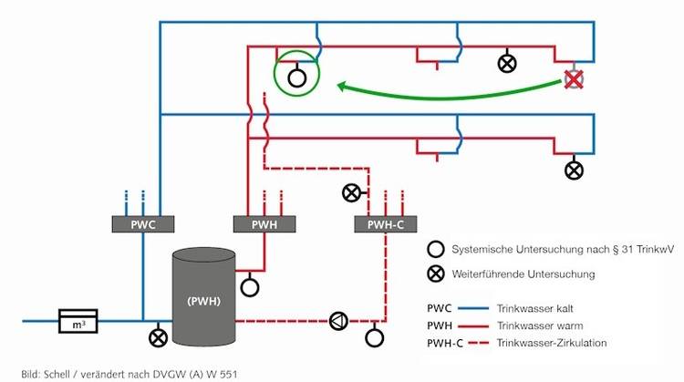 Schematische Darstellung einer Trinkwasser-Installation mit gekennzeichneten Kalt-, Warm- und Zirkulationsleitungen sowie markierten Prüfstellen.