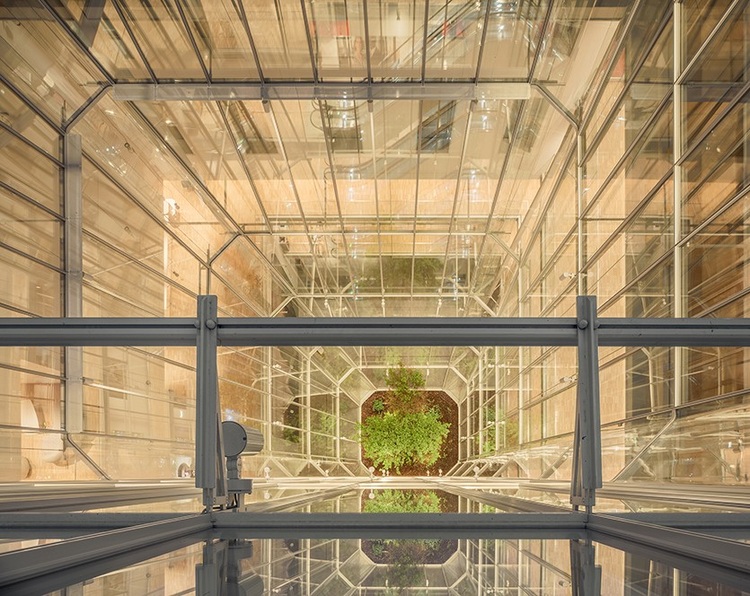 Blick in ein verglastes Atrium eines modernen Bürogebäudes, im Fokus nachhaltige Gebäudetechnik mit begrüntem Innenbereich und Glasreflexionen.