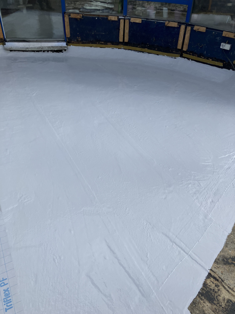 Eisfläche nach Neubeschichtung in moderner Eissporthalle, glatte Oberfläche nahe gelb-blauer Bande, Beispiel für effiziente Gebäudekühltechnik.