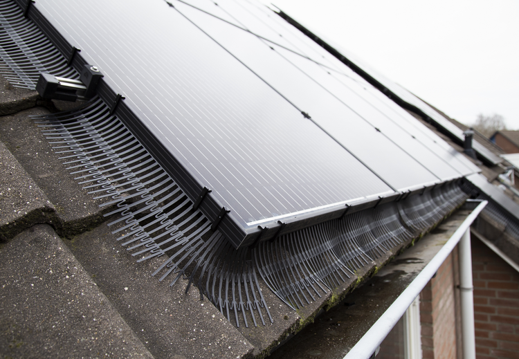 Detailansicht: Photovoltaikmodule auf einem Schrägdach, darunter ein Vogelschutz aus Kunststoff zur Gewährleistung des ordnungsgemäßen Betriebs der Anlage.