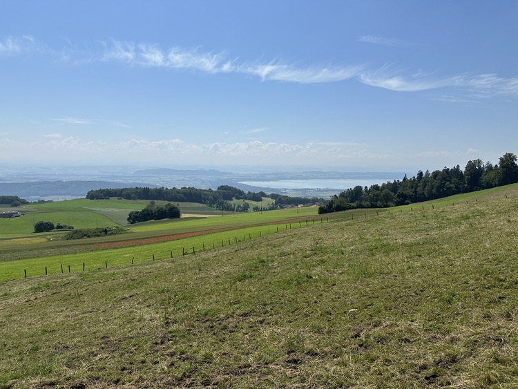 Grün bewachsener Hang mit Blick auf Felder, Bäume und den See – Beispiel für eine naturintegrierte Gebäudetechniklandschaft.
