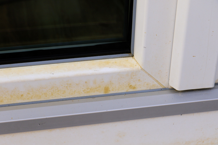 Nahaufnahme eines verschmutzten weißen Fensterrahmens und einer Fensterbank mit braunen Ablagerungen, relevant für Wartung und Gebäudereinigung.