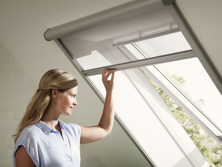 Insektenschutz: Unbeliebte Mitbewohner aussperren Insektenschutz: Unbeliebte Mitbewohner aussperren