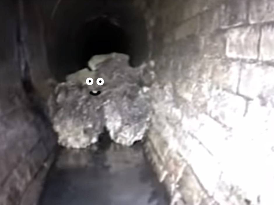 Londoner Fettberg wird zu Biodiesel verarbeitet Londoner Fettberg wird zu Biodiesel verarbeitet