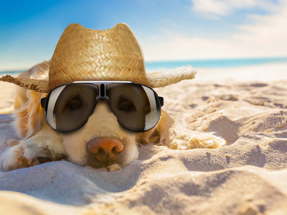 12 Dinge, die Handwerkern das Leben im Sommer schwer gemacht haben 12 Dinge, die Handwerkern das Leben im Sommer schwer gemacht haben