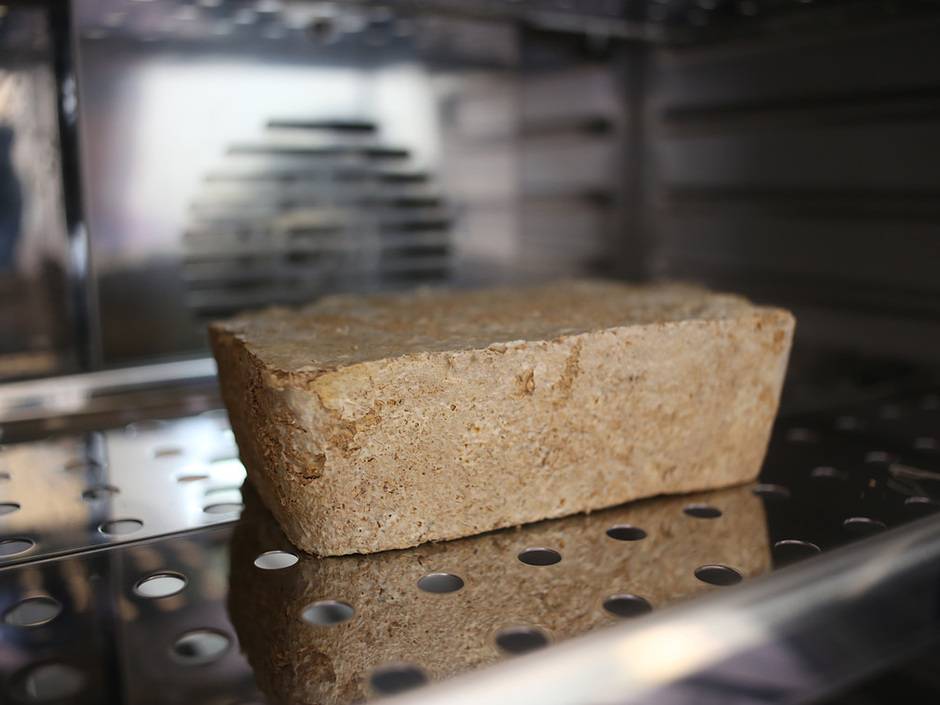 Nachhaltiges Bauen: Häuser aus Bambus und Pilzen Nachhaltiges Bauen: Häuser aus Bambus und Pilzen