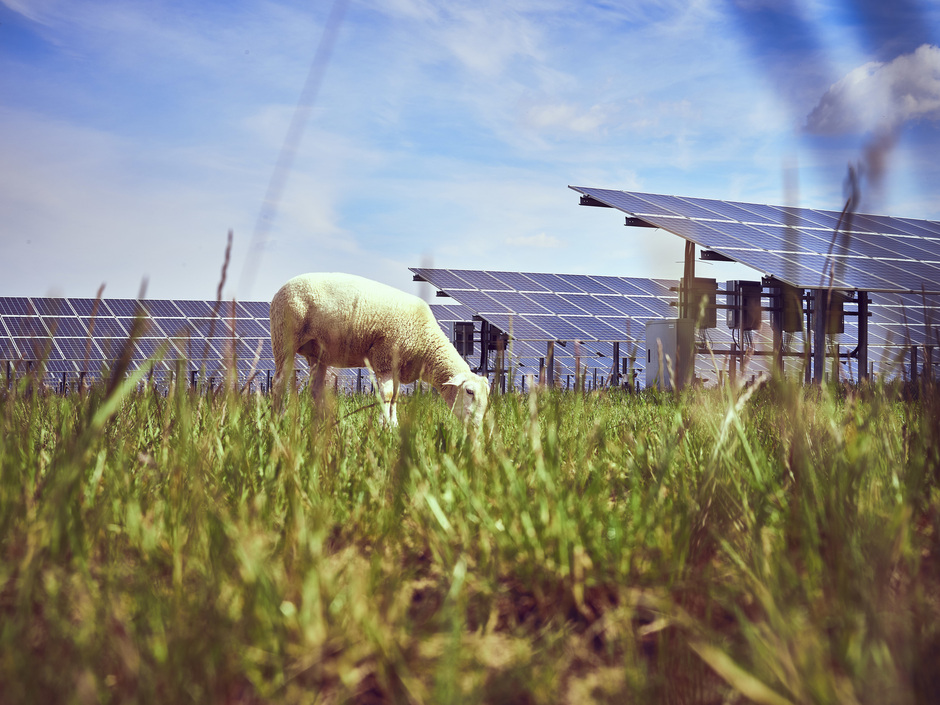 Wind & PV: Wegweisendes Urteil für Landwirte Wind & PV: Wegweisendes Urteil für Landwirte