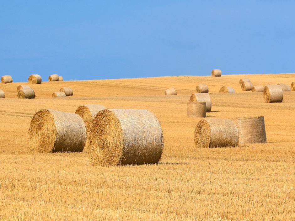 Das bringt Heizen mit Pyrolyseöl aus Restbiomasse Das bringt Heizen mit Pyrolyseöl aus Restbiomasse