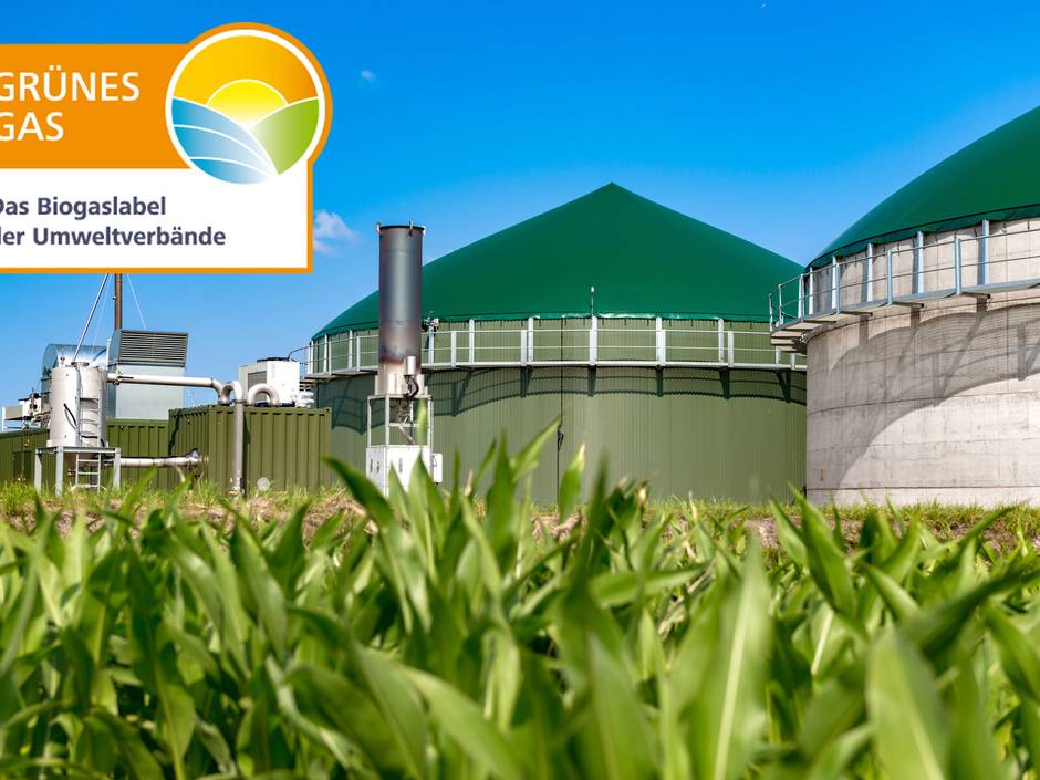 Grunes Gas Label Erneuert Kriterien Fokus Liegt Auf Reststoffen Haustec