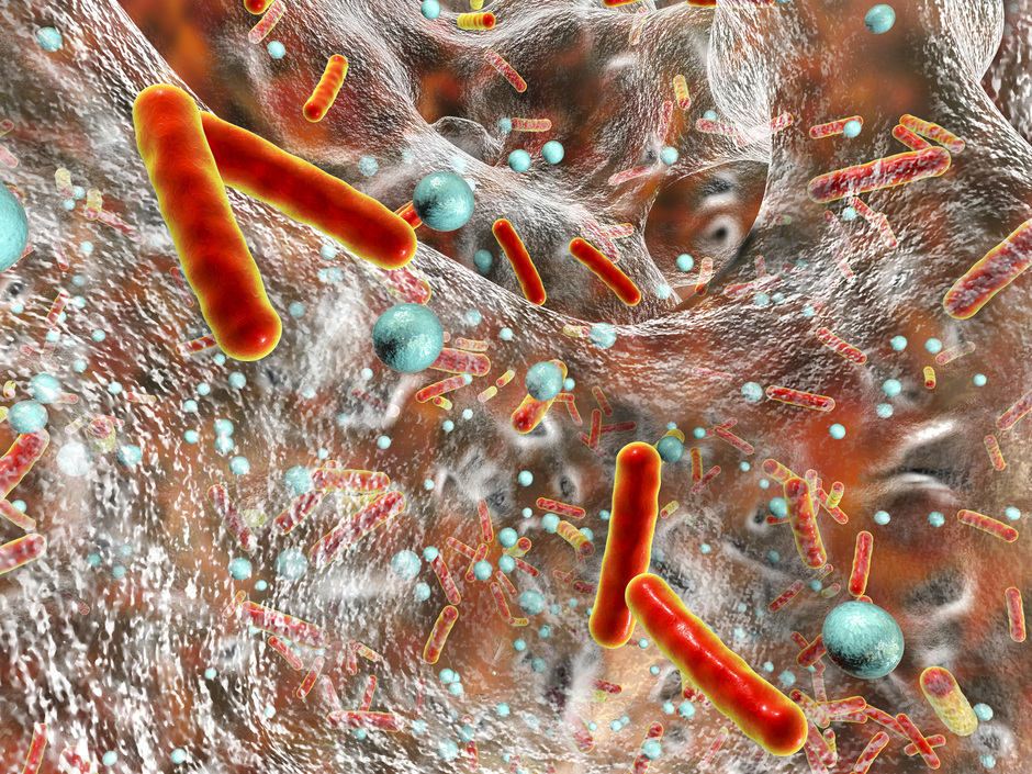Die gefährlichsten Keime in Trinkwasserinstallationen Die gefährlichsten Keime in Trinkwasserinstallationen