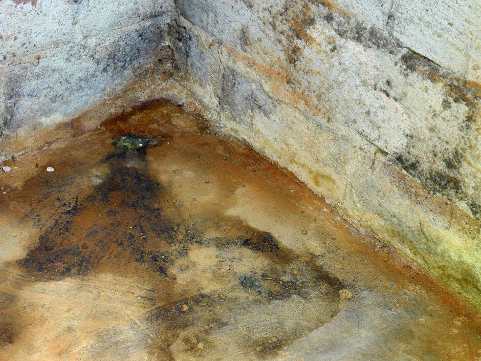 Warum bei Schimmel im Keller schnelles Handeln wichtig ist Warum bei Schimmel im Keller schnelles Handeln wichtig ist