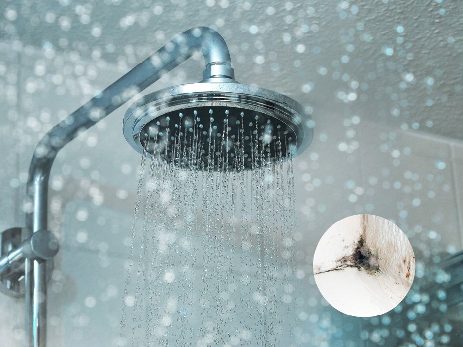Schimmel-Problemzone Bad: So beugen Sie effektiv vor Schimmel-Problemzone Bad: So beugen Sie effektiv vor