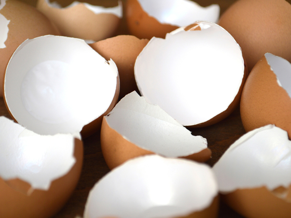 KIT: So werden aus Eierschalen Energiespeicher KIT: So werden aus Eierschalen Energiespeicher