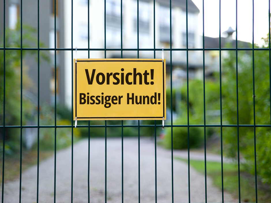 Wachhund, Alarmanlage und Co.: Was schützt am besten? Wachhund, Alarmanlage und Co.: Was schützt am besten?