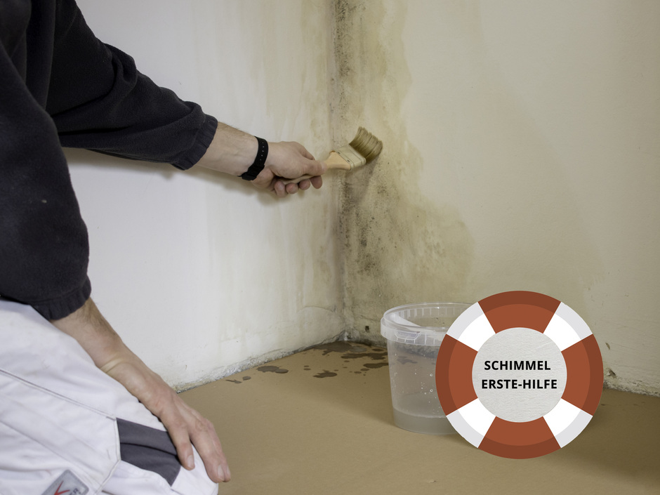 Kreidezeit: Erste-Hilfe-Set gegen Schimmel Kreidezeit: Erste-Hilfe-Set gegen Schimmel