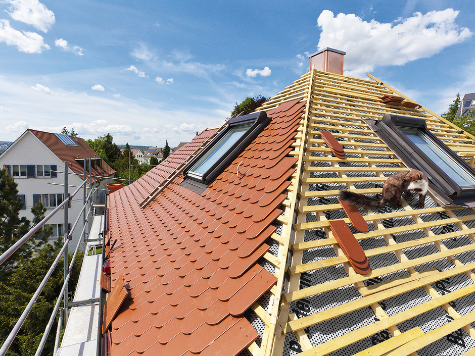 Sicherer Schutz vor ungebetenen Gästen unterm Dach