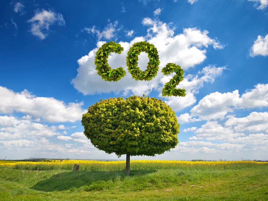 Klimapaket: Kompromiss bei steuerlichen Maßnahmen Klimapaket: Kompromiss bei steuerlichen Maßnahmen