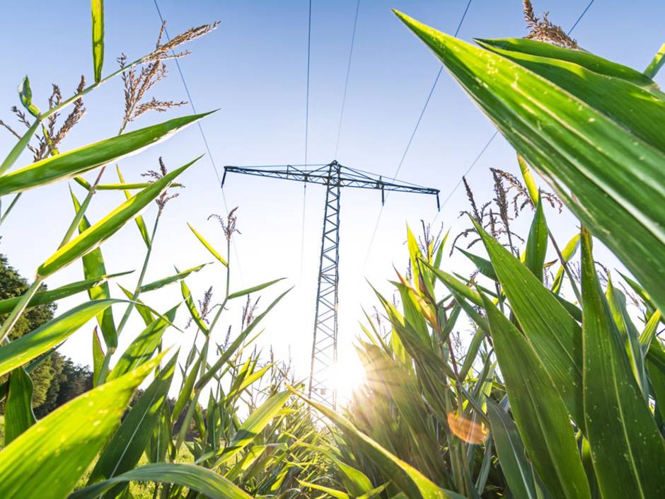 Ökostromanbieter und ihre Marken: Wer gehört zu wem? Ökostromanbieter und ihre Marken: Wer gehört zu wem?