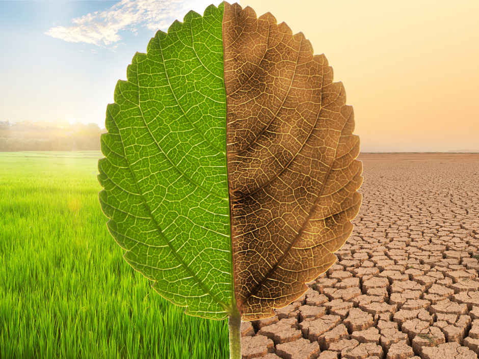 Klimawandel ist in Deutschland schon heute Realität Klimawandel ist in Deutschland schon heute Realität