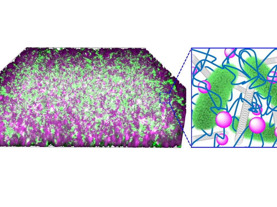 Mikrobielle Cyborgs: Bakterien als Stromlieferanten Mikrobielle Cyborgs: Bakterien als Stromlieferanten