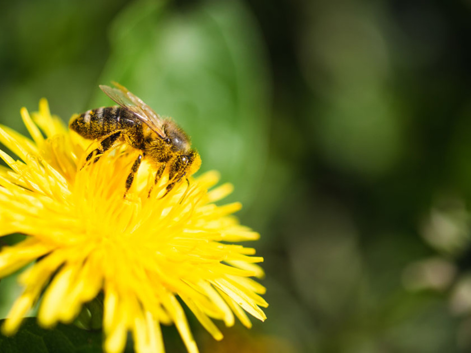 Forderung nach Klimakonjunkturpaket sorgt für Furore Forderung nach Klimakonjunkturpaket sorgt für Furore