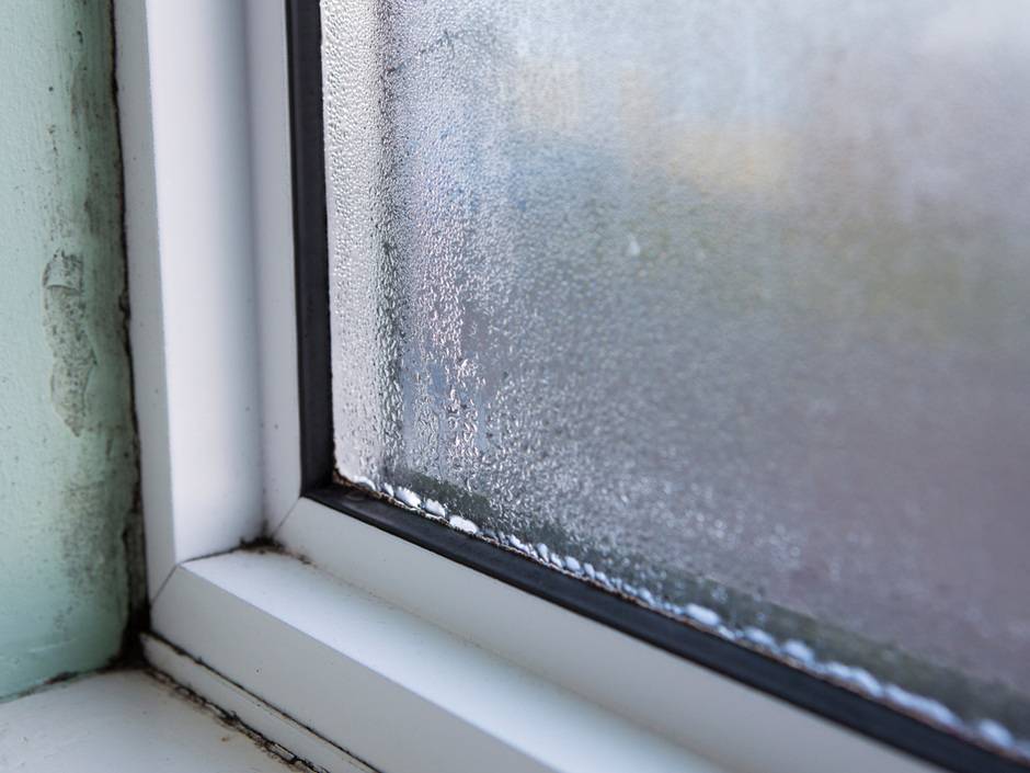 Schimmelalarm bei Dauerregen: Wann Fenster zum Problem werden können Schimmelalarm bei Dauerregen: Wann Fenster zum Problem werden können