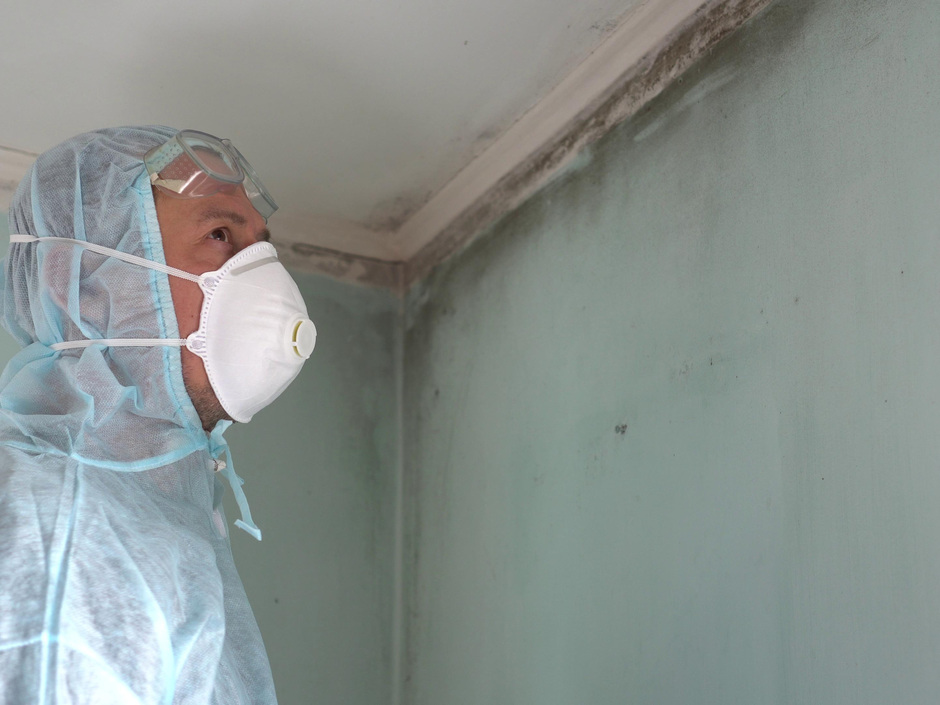 Schimmelbefall im Haus professionell sanieren Schimmelbefall im Haus professionell sanieren