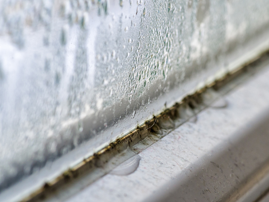 Zu niedrige Raumtemperaturen: Schimmelgefahr steigt Zu niedrige Raumtemperaturen: Schimmelgefahr steigt