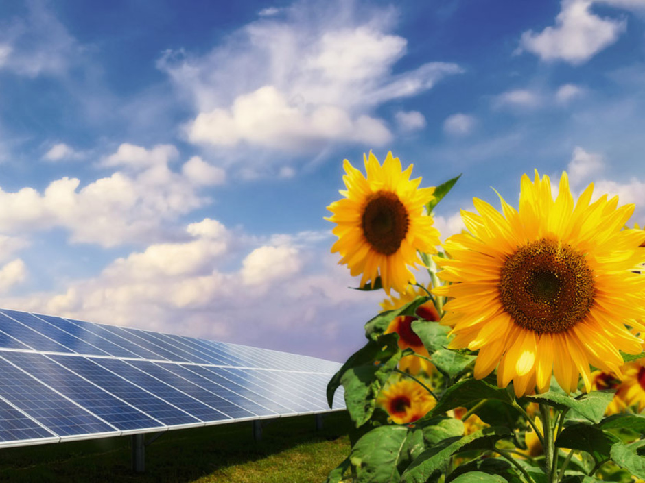 EEG-Novelle: Energiewende braucht einen Innovationsschub EEG-Novelle: Energiewende braucht einen Innovationsschub