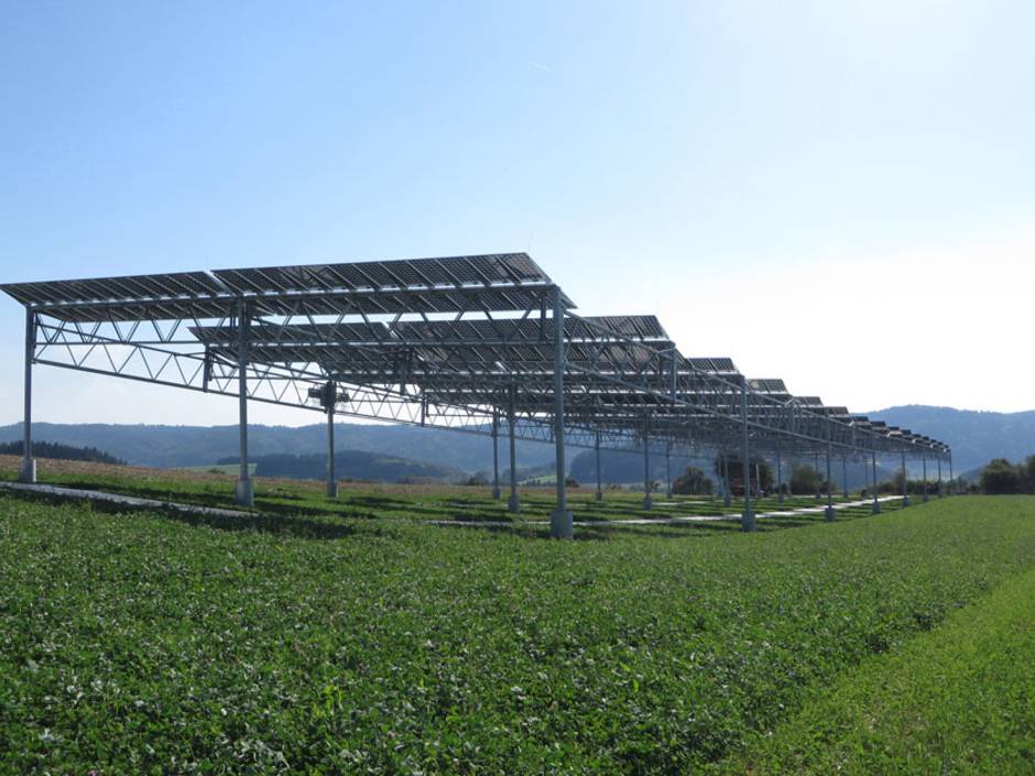 Leitfaden zur Agri-Photovoltaik erschienen Leitfaden zur Agri-Photovoltaik erschienen