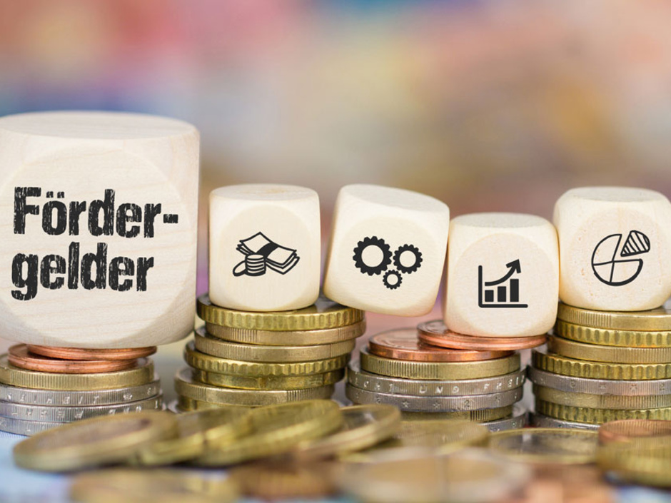 Mit dem BAFA Förderkompass zum passenden Förderprogramm Mit dem BAFA Förderkompass zum passenden Förderprogramm