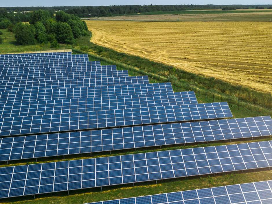 NABU und BSW definieren Solarpark-Standards NABU und BSW definieren Solarpark-Standards