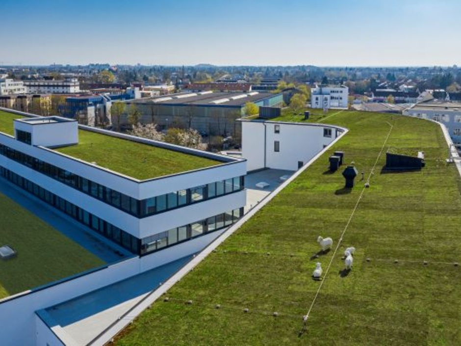 6 Trends für nachhaltige Immobilien bis 2030 6 Trends für nachhaltige Immobilien bis 2030