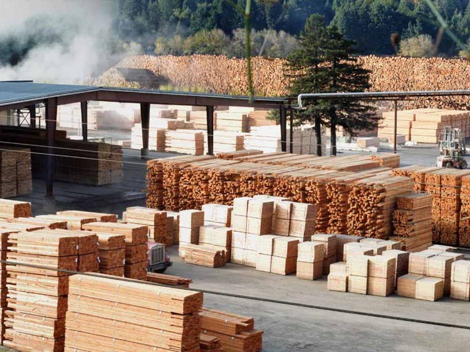 Holz als Baustoff