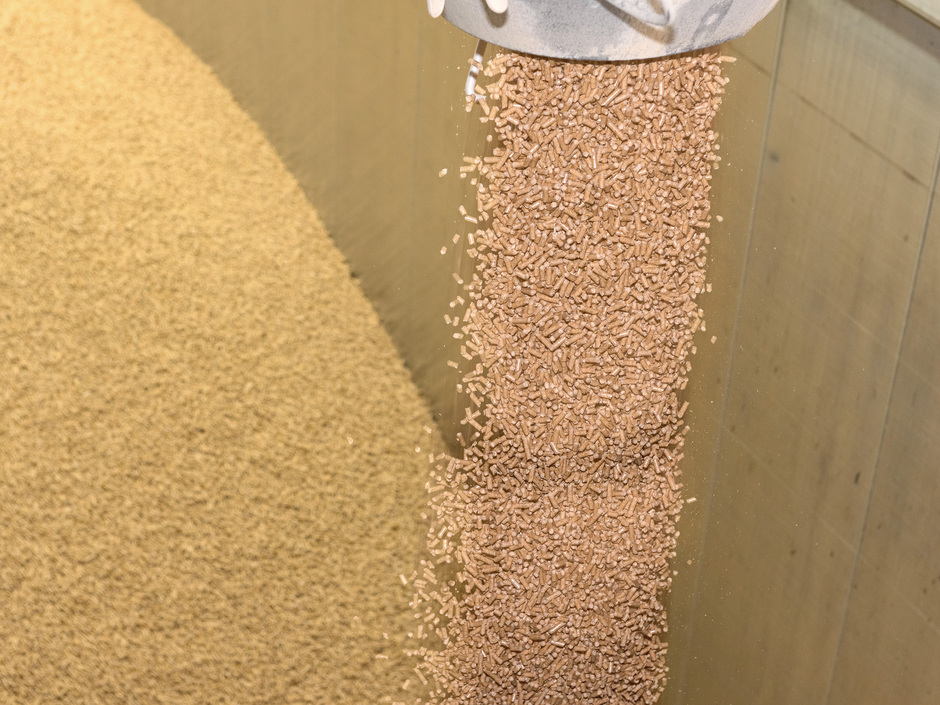 Gibt es genug Holzpellets Gibt es genug Holzpellets