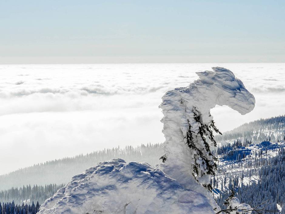 Im Netz des Drachen: Fabelwesen aus Titanzink Im Netz des Drachen: Fabelwesen aus Titanzink