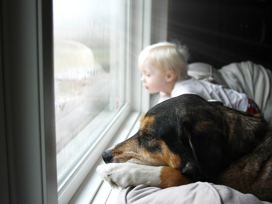 Absturzsicherung: ift-Richtlinie für Fenster mit Öffnungsbegrenzern Absturzsicherung: ift-Richtlinie für Fenster mit Öffnungsbegrenzern